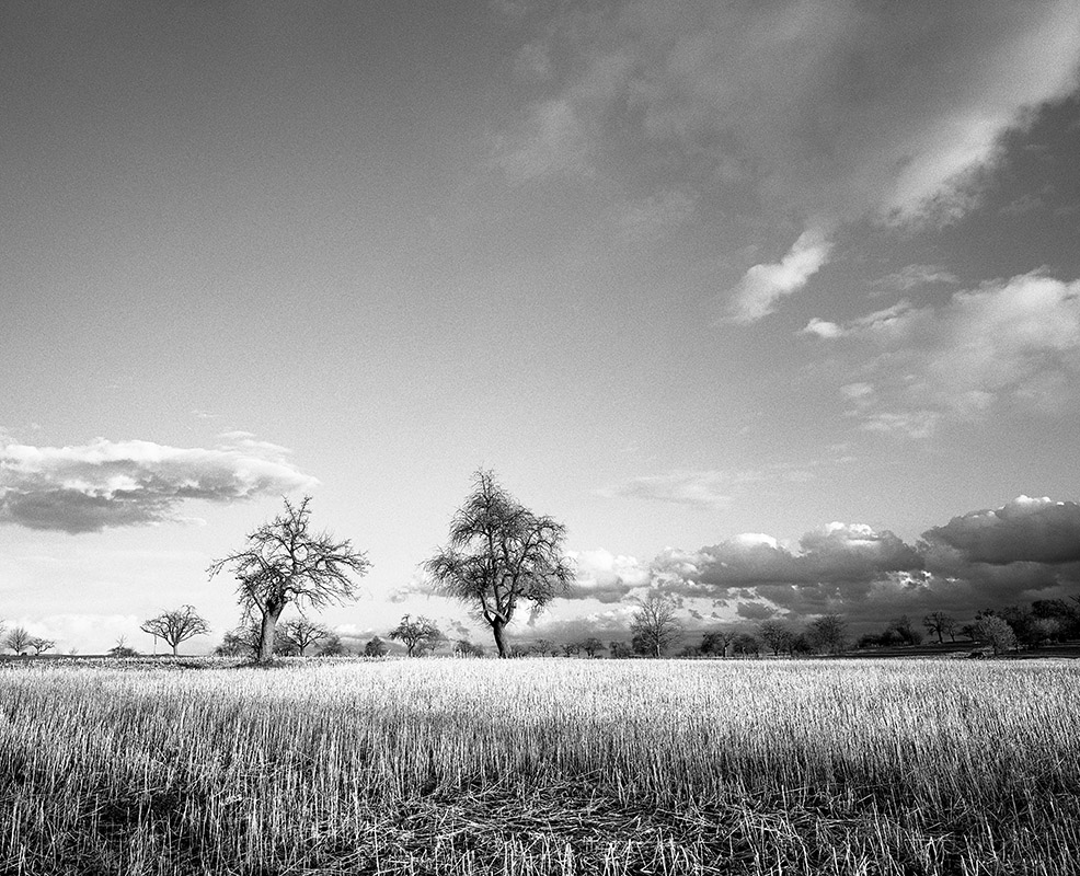 img_NP400_xtol331 v2.jpg - Dieses Bild habe ich vor einigen Wochen mit der Mamiya 7ii auf Fuji Neopan 400 aufgenommen. Die linke Wolke hat mich seltsamerweise irgendwie an Afrika erinnert. Fotografiert wurde das Bild durch einen Gelbfilter, um den Himmel deutlicher abzubilden.